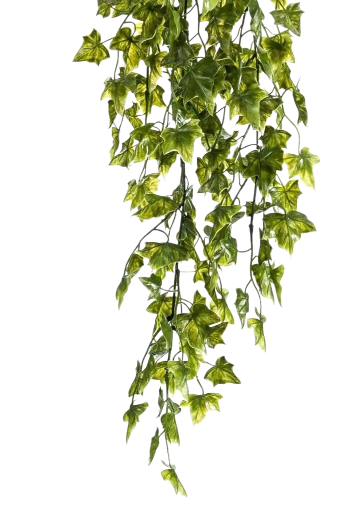 75 cm auf transparentem Hintergrund, als Ausschnitt fotografiert, damit die Details der Kunstpflanze bzw. des Kunstbaums noch deutlicher zu erkennen sind.