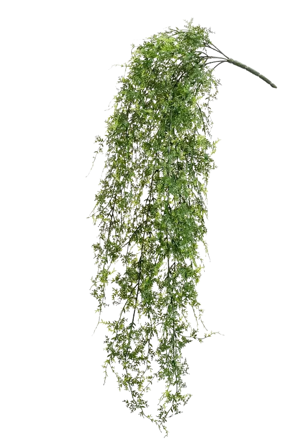 Künstlicher Hänge-Farn - Katharina auf transparentem Hintergrund mit echt wirkenden Kunstblättern. Diese Kunstpflanze gehört zur Gattung/Familie der "Farne" bzw. "Kunst-Farne".
