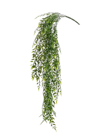 Künstlicher Hänge-Bambus - Luisa auf transparentem Hintergrund mit echt wirkenden Kunstblättern. Diese Kunstpflanze gehört zur Gattung/Familie der "Bambuse" bzw. "Kunst-Bambuse".