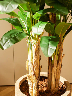 Künstlicher Bananenbaum - Can | 140 cm