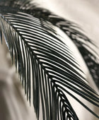 Künstlicher Palmfarn - Karlotta | 90 cm | Kunstpflanze von aplanta