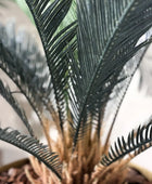 Künstlicher Palmfarn - Karlotta | 90 cm | Kunstpflanze von aplanta
