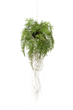 Künstlicher Hänge-Farn - Jolie, 35 cm, Kunstpflanze von aplanta, in Natur, für drinnen