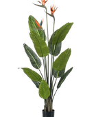 Künstliche Strelitzia - Constantin auf transparentem Hintergrund mit echt wirkenden Kunstblättern. Diese Kunstpflanze gehört zur Gattung/Familie der 