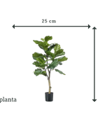 Künstlicher Ficus Lyrata - Mona | 90 cm