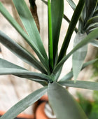 Künstliche Yucca Palme - Ramona | 160 cm | Kunstpflanze von aplanta