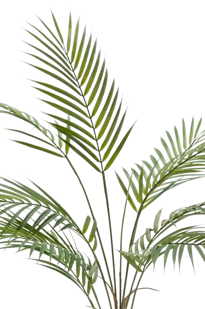 128 cm auf transparentem Hintergrund, als Ausschnitt fotografiert, damit die Details der Kunstpflanze bzw. des Kunstbaums noch deutlicher zu erkennen sind.