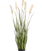Hochwertiges Pampasgras künstlich auf transparentem Hintergrund mit echt wirkenden Kunstblättern in natürlicher Anordnung. Künstliches Pampasgras - Luis hat die Farbe Grün und ist 130 cm hoch. | aplanta Kunstpflanzen