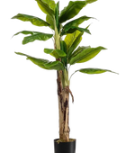 Künstlicher Bananenbaum - Can auf transparentem Hintergrund mit echt wirkenden Kunstblättern. Diese Kunstpflanze gehört zur Gattung/Familie der 
