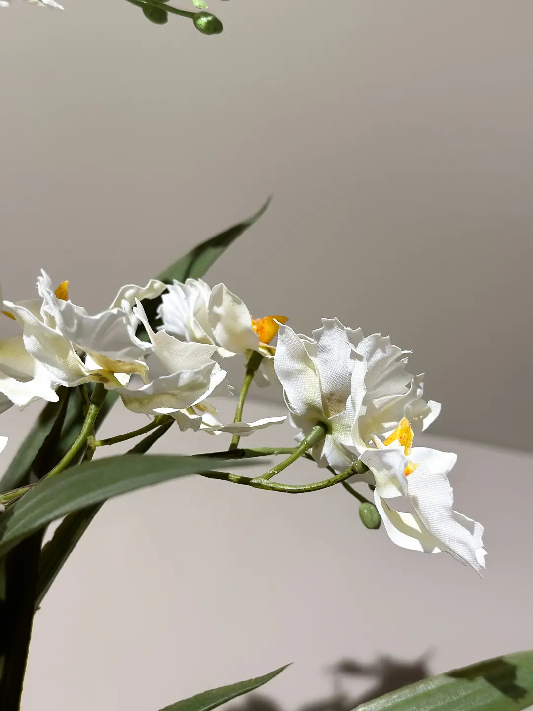 Künstliche Orchidee - Pansy | 45 cm, im Topf | Kunstblume von aplanta