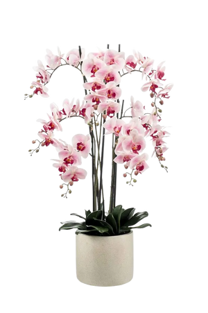 Orchideen Gestecke künstlich günstig online kaufen