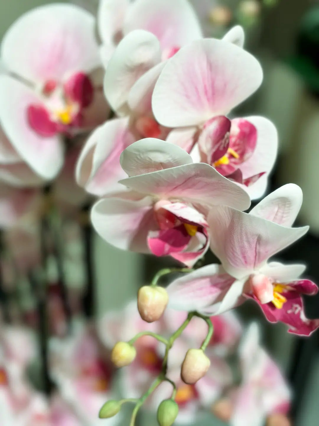 Künstliche Orchidee - Leo | 100 cm | Kunstblume von aplanta