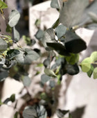 Künstlicher Eucalyptus Baum - Christopher | 120 cm | Kunstbaum von aplanta
