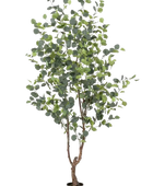 Hochwertiger Eukalyptus künstlich auf transparentem Hintergrund mit echt wirkenden Kunstblättern in natürlicher Anordnung. Künstlicher Eucalyptus Baum - Christopher hat die Farbe Natur und ist 180 cm hoch. | aplanta Kunstpflanzen