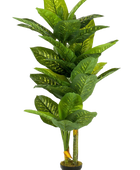 Künstliche Dieffenbachia - Milena auf transparentem Hintergrund mit echt wirkenden Kunstblättern. Diese Kunstpflanze gehört zur Gattung/Familie der 