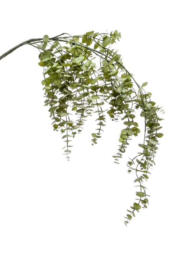 Hochwertige Kunstpflanze | Künstliche hängender Eucalyptus Zweig - Guido | 120 cm von 🌱aplanta