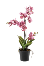 Künstliche Orchidee - Liam, 60 cm, Kunstblume von aplanta, im schwarzen Topf, in Pink, für drinnen