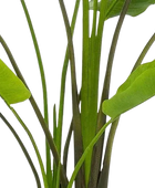 Künstliche Strelitzia - Colin | 180 cm auf transparentem Hintergrund, als Ausschnitt fotografiert, damit die Details der Kunstpflanze bzw. des Kunstbaums noch deutlicher zu erkennen sind.