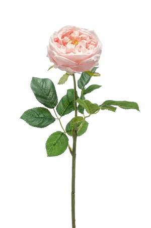 Hochwertige Hortensie künstlich auf transparentem Hintergrund mit echt wirkenden Kunstblättern in natürlicher Anordnung. Künstliche Rose - Samantha hat die Farbe Pfirsich und ist 60 cm hoch. | aplanta Kunstpflanzen