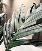 Künstliche Kentia Palme - Nathalie | 180 cm | Kunstbaum von aplanta