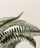 Künstlicher Farn - Dieter | 32 cm | Kunstpflanze von aplanta