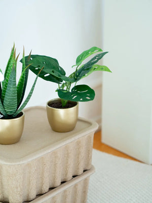 Künstlicher Monstera Busch - Lotte | 30 cm