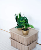 Künstlicher Monstera Busch - Lotte | 30 cm