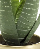 Künstliche Aloe - Patricia | 30 cm auf transparentem Hintergrund, als Ausschnitt fotografiert, damit die Details der Kunstpflanze bzw. des Kunstbaums noch deutlicher zu erkennen sind.