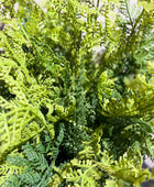 Künstlicher Farn - Gustav | 40 cm | Kunstpflanze von aplanta