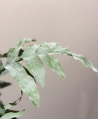 Künstlicher Goldtüpfelfarn - Hauke | 67 cm | Kunstpflanze von aplanta