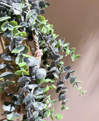 Künstlicher Eucalyptus - Karolina | 75 cm | Kunstpflanze von aplanta