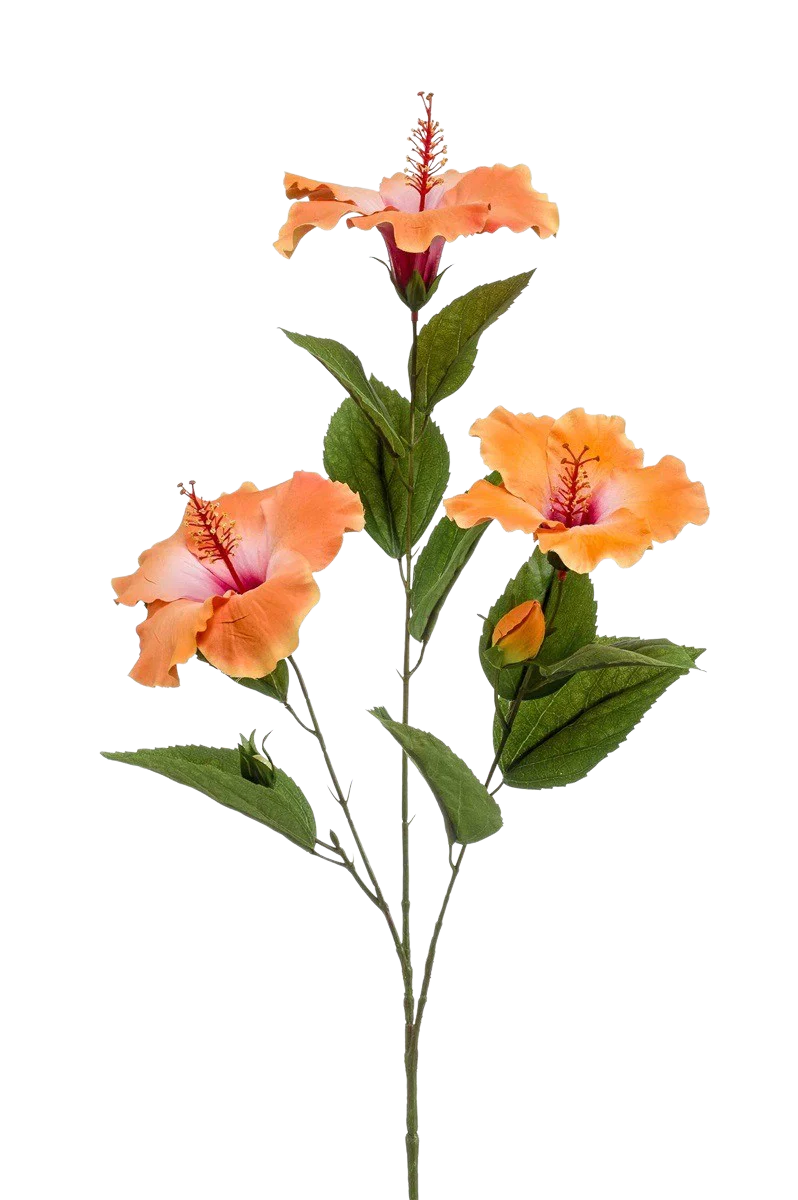 Hochwertige Kunstpflanze | Künstlicher Hibiskus Zweig - Marin | 82 cm von 🌱aplanta