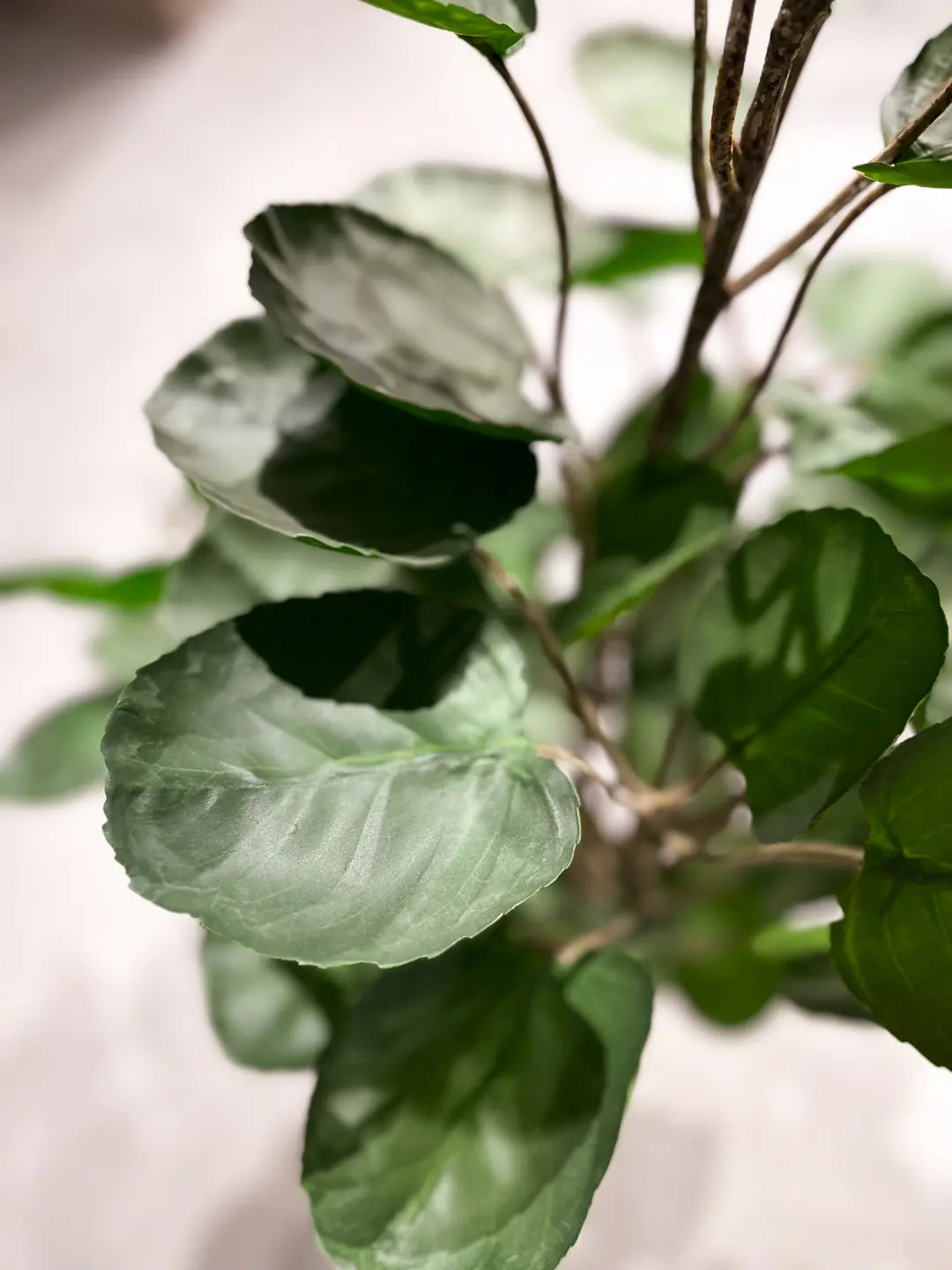 Künstliche Fiederaralie - Milan | 105 cm | Kunstpflanze von aplanta