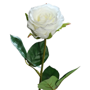 Hochwertige Hortensie künstlich auf transparentem Hintergrund mit echt wirkenden Kunstblättern in natürlicher Anordnung. Künstliche Rose - Ismene hat die Farbe cream und ist 48 cm hoch. | aplanta Kunstpflanzen