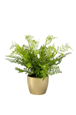 Künstlicher Farn - Marcel auf transparentem Hintergrund mit echt wirkenden Kunstblättern in natürlicher Anordnung. Künstlicher Farn - Marcel hat die Farbe Natur und ist 40 cm hoch. | aplanta Kunstpflanzen