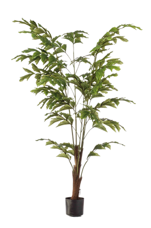 Hochwertige Kunstpalme auf transparentem Hintergrund mit echt wirkenden Kunstblättern in natürlicher Anordnung. Künstliche Fischschwanzpalme - Nayla hat die Farbe Grün und ist 155 cm hoch. | aplanta Kunstpflanzen