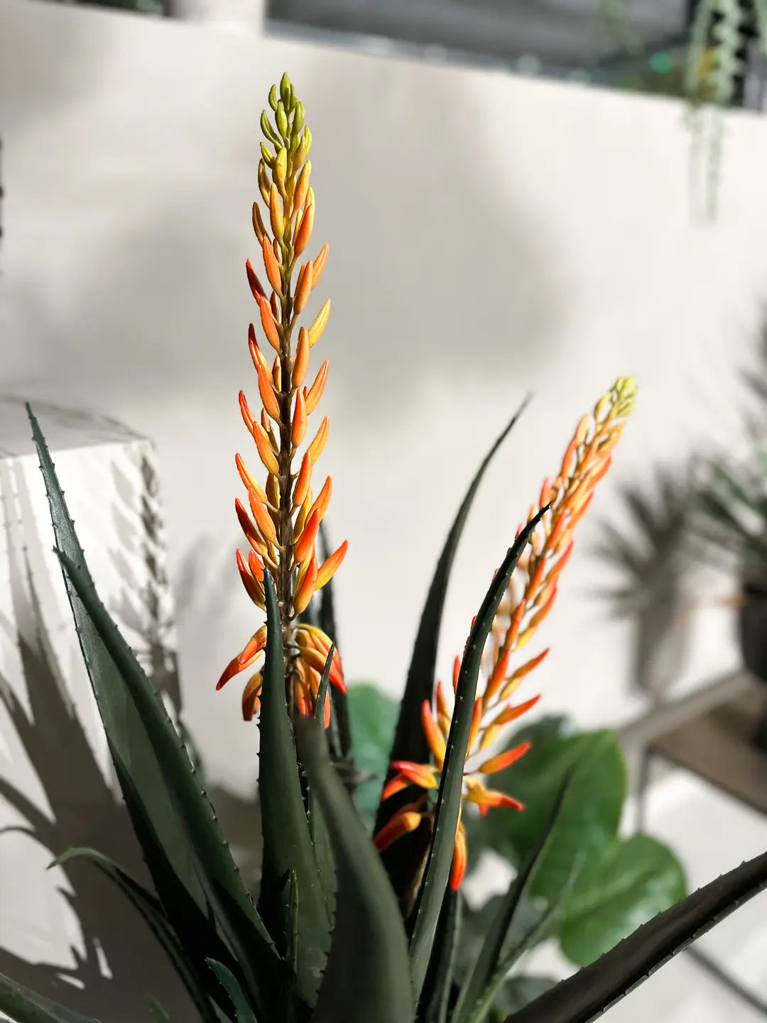 Künstliche Aloe - Paulina | 80 cm | Kunstpflanze von aplanta