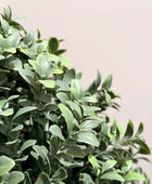 Künstlicher Buchsbaum - Lynn | 42 cm | Kunstbaum von aplanta