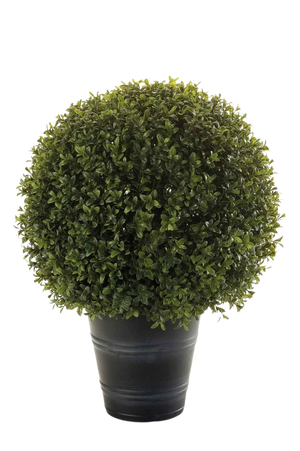 Hochwertige Kunstpflanze | Künstlicher Buchsbaum - Ron | 25 cm von 🌱aplanta