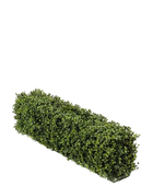 Künstliche Buchsbaumhecke - Jannis auf transparentem Hintergrund mit echt wirkenden Kunstblättern. Diese Kunstpflanze gehört zur Gattung/Familie der 