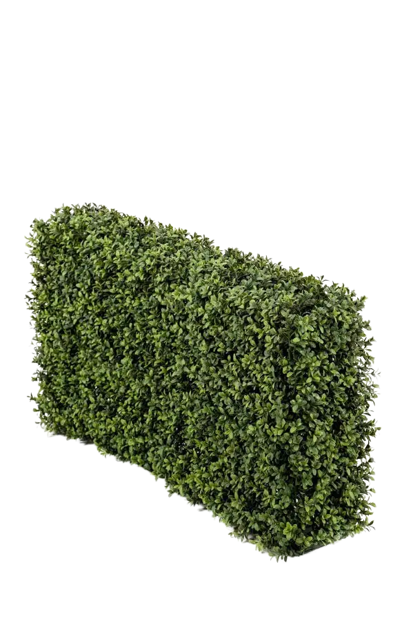 Hochwertiger Buchsbaum künstlich auf transparentem Hintergrund mit echt wirkenden Kunstblättern in natürlicher Anordnung. Künstliche Buchsbaumhecke - Jannis hat die Farbe Natur und ist 50 cm hoch. | aplanta Kunstpflanzen