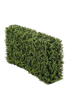 Hochwertiger Buchsbaum künstlich auf transparentem Hintergrund mit echt wirkenden Kunstblättern in natürlicher Anordnung. Künstliche Buchsbaumhecke - Jannis hat die Farbe Natur und ist 50 cm hoch. | aplanta Kunstpflanzen