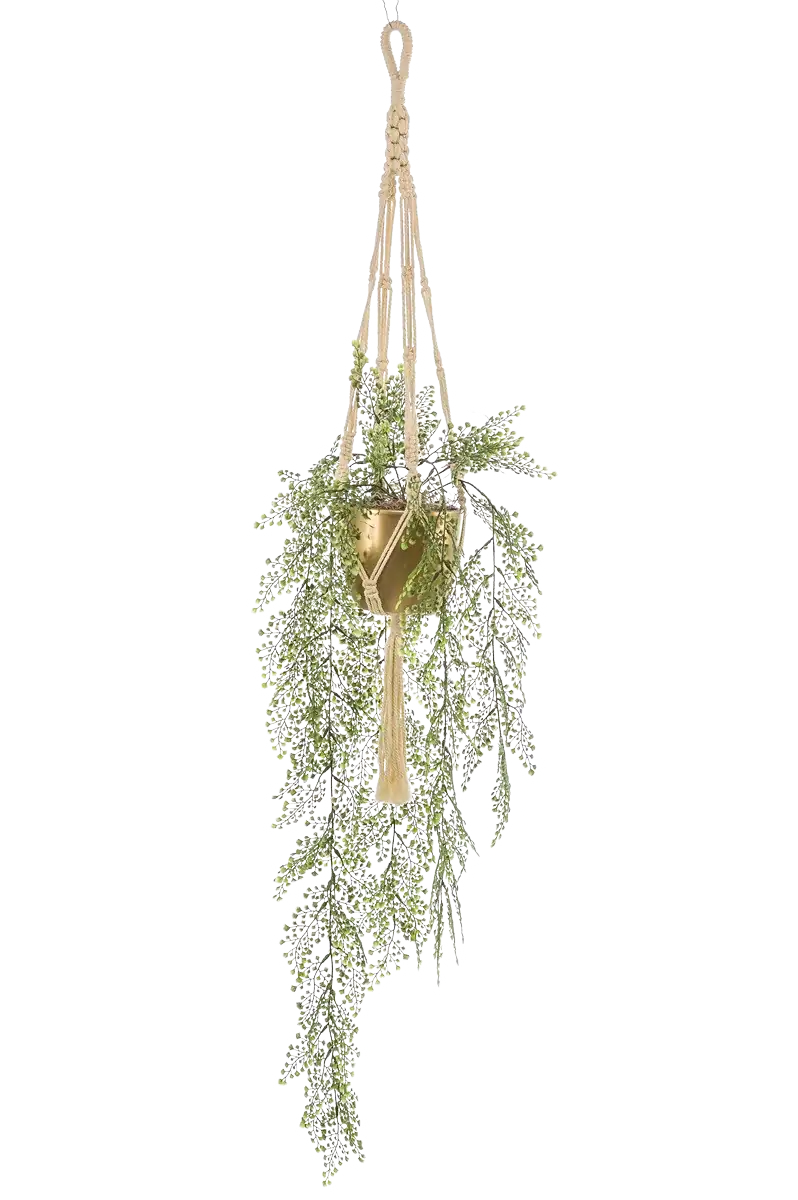 Hochwertige künstliche Hängepflanze auf transparentem Hintergrund mit echt wirkenden Kunstblättern in natürlicher Anordnung. Künstlicher Frauenhaarfarn - Rapunzel hat die Farbe Natur und ist 105 cm hoch. | aplanta Kunstpflanzen
