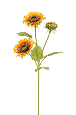 Hochwertige Kunstpflanze | Künstliche Sonnenblume - Belly | 85 cm von 🌱aplanta