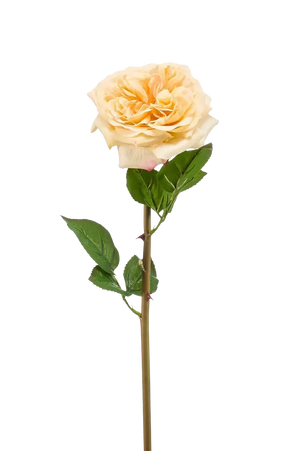 Hochwertige Hortensie künstlich auf transparentem Hintergrund mit echt wirkenden Kunstblättern in natürlicher Anordnung. Künstliche Rose - Minerva hat die Farbe Gelb und ist 60 cm hoch. | aplanta Kunstpflanzen