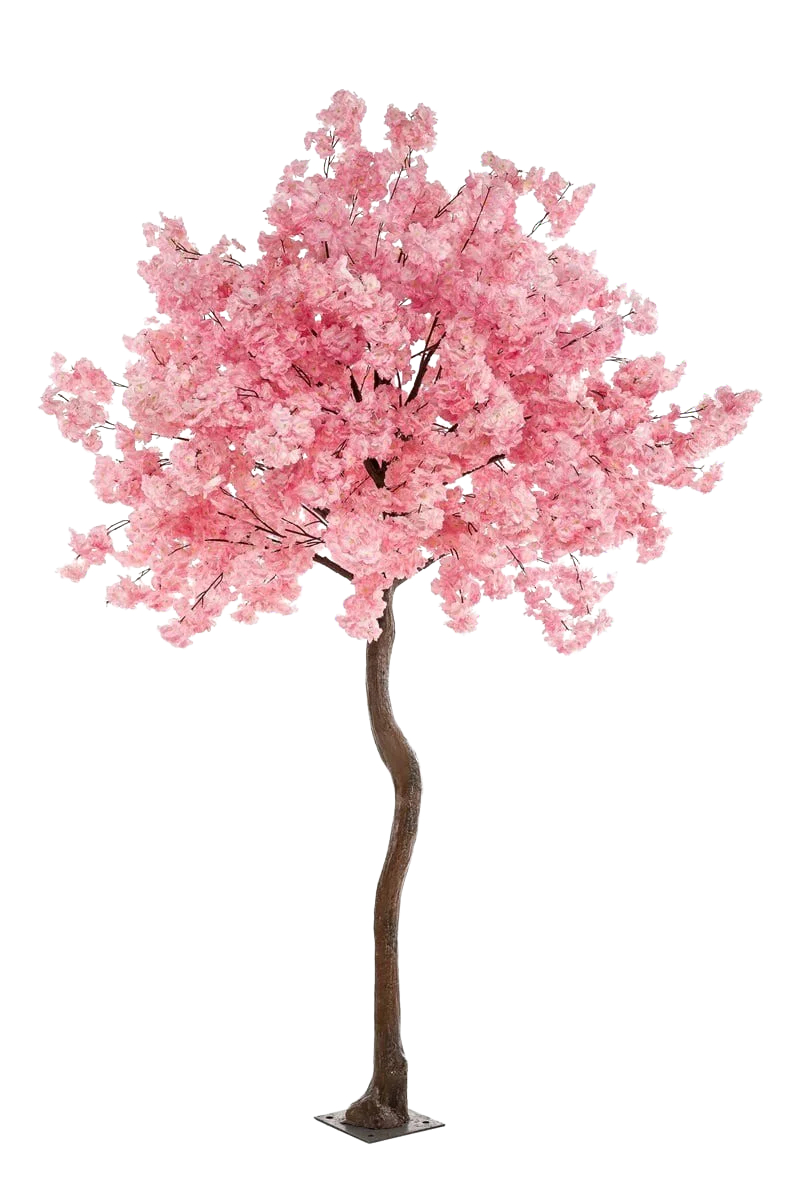 Künstlicher Kirschbaum - Elia auf transparentem Hintergrund mit echt wirkenden Kunstblättern in natürlicher Anordnung. Künstlicher Kirschbaum - Elia hat die Farbe Pink und ist 270 cm hoch. | aplanta Kunstpflanzen
