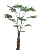 Hochwertige Kunstpalme auf transparentem Hintergrund mit echt wirkenden Kunstblättern in natürlicher Anordnung. Künstliche Livistona Palme - Terra hat die Farbe Natur und ist 180 cm hoch. | aplanta Kunstpflanzen