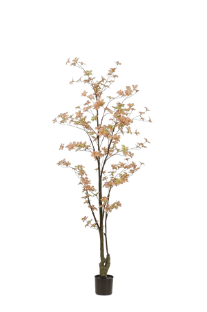 Hochwertige Kunstpflanze | Künstlicher Trapaeolum Baum - Nils | 185 cm von 🌱aplanta