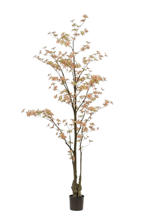 Hochwertige Kunstpflanze | Künstlicher Trapaeolum Baum - Rocco | 210 cm von 🌱aplanta