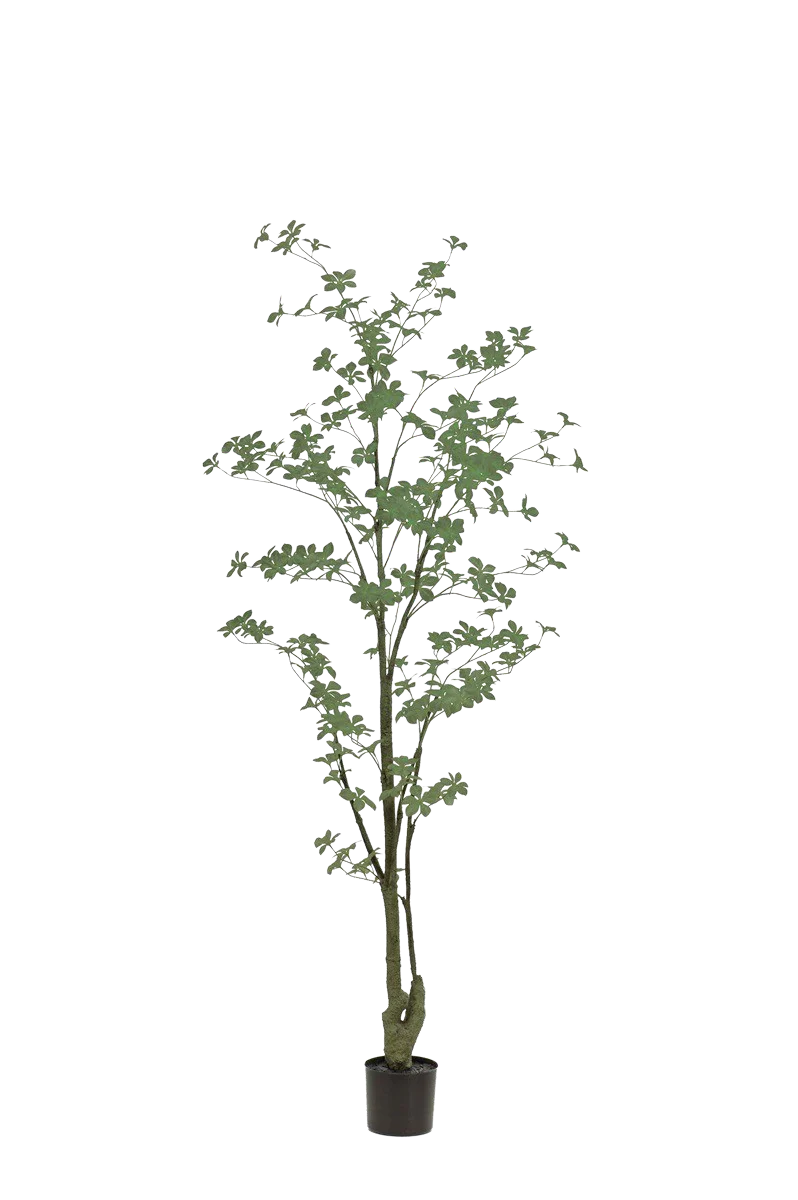 Hochwertige Kunstpflanze | Künstlicher Trapaeolum Baum - Cleo | 185 cm von 🌱aplanta